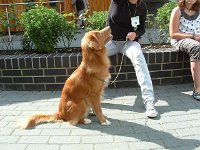 k-2008-07-13 008